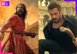 Chhaava Box Office Collection: 'छावा' ने 600 करोड़ी होने की तरफ बढ़ाए कदम, फिल्म के सामने खड़ा है 'सिकंदर'