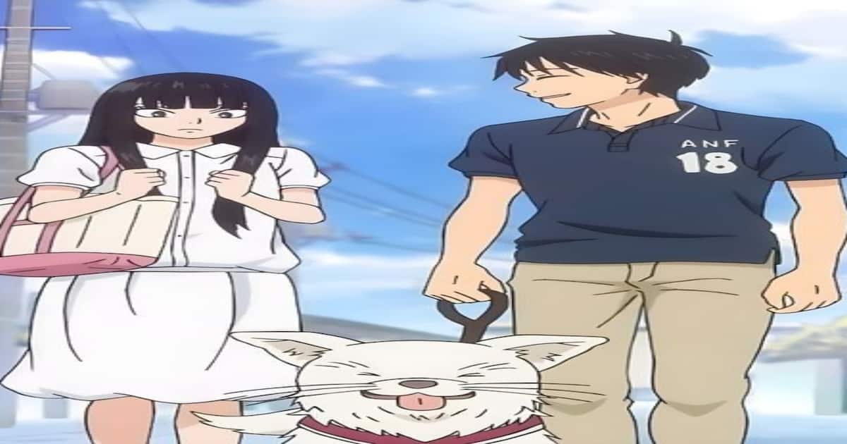 a silent voice kimi ni todoke top 10 high school romance anime on netflix prime video crunchyroll ott a silent voice kimi ni todoke top 10 high school romance anime on netflix prime video crunchyroll ott