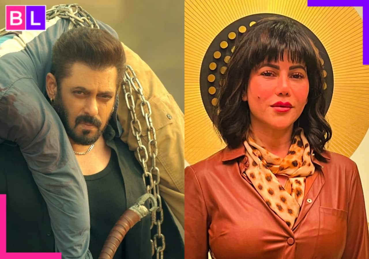 Sikandar producer Sajid Nadiadwala's wife Warda Nadiadwala accused of  abusing Salman Khan's fans online; what exactly happened?, image size:1280x900