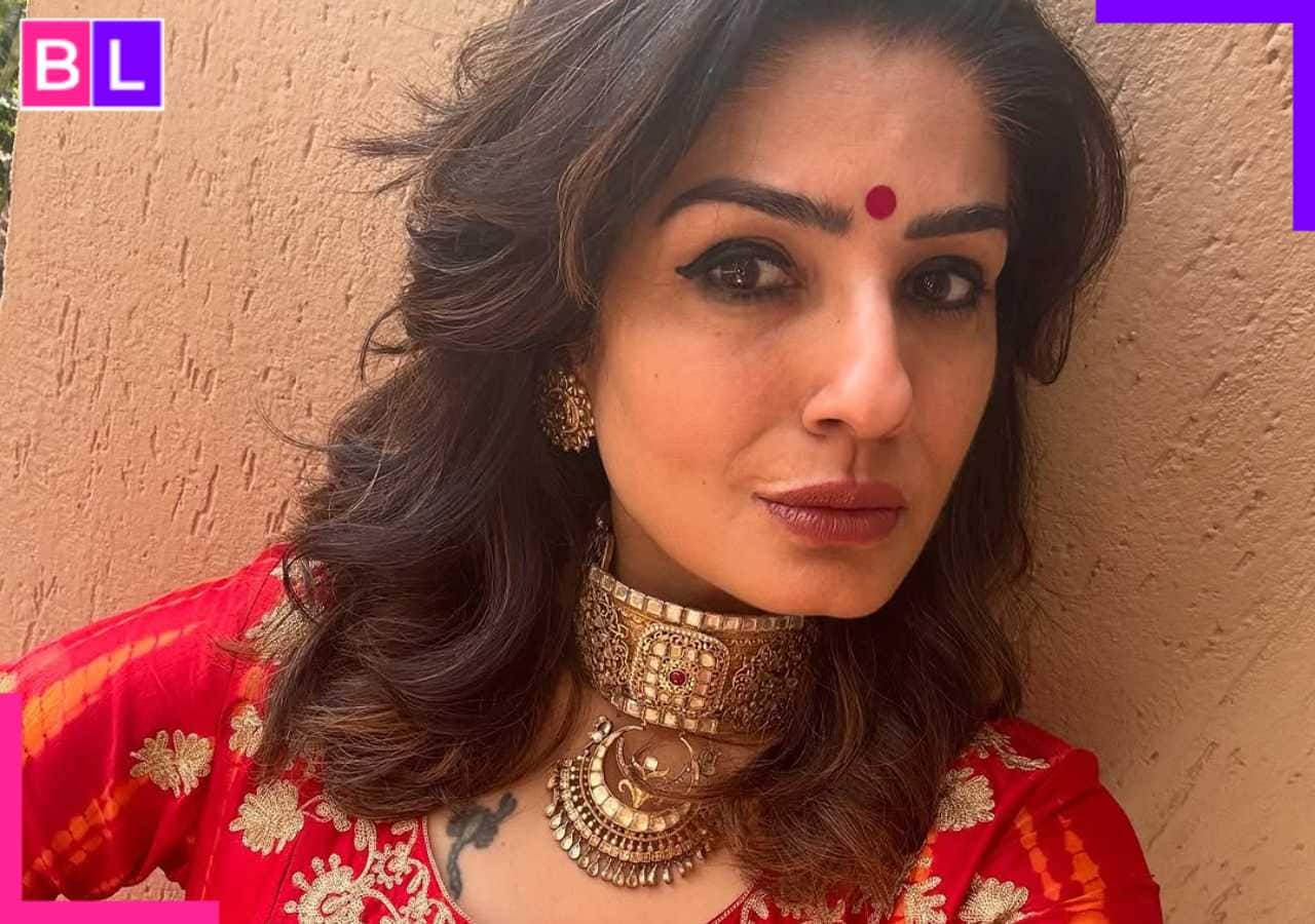 Raveena Tandon's THIS movie was a big flop, she played a villain, it featured South star...