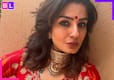 Raveena Tandon's THIS movie was a big flop, she played a villain, it featured South star...