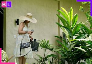 धूप में कहर ढा गई ये हसीना, 37 की उम्र में भी दिखा 27 वाला ग्लैम! लेटेस्ट लुक पर फिदा हुए फैंस