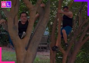 Sikandar के फ्लॉप होते ही फॉर्म हाउस पहुंचे Salman Khan, पेड़ पर चढ़कर... Video Viral