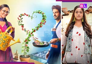 Kabhi Neem Neem Kabhi Shehed Shehed to Meri Bhavya Life: Upcoming TV shows to premiere after IPL 2025