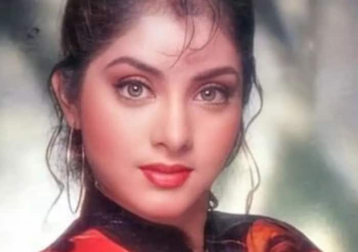 Divya Bharti Hit Films