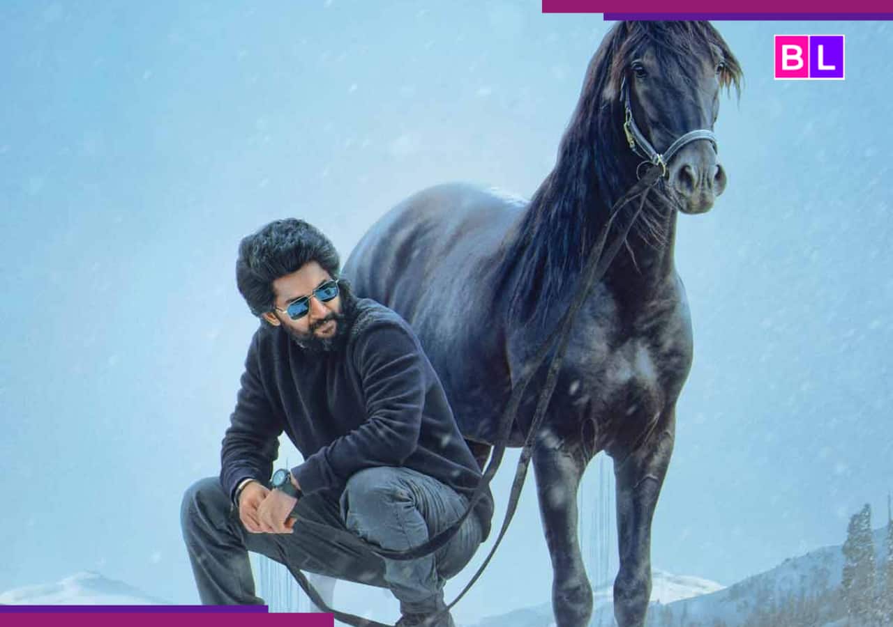 HIT 3 Twitter review: Nani's powerful act wins hearts; netizens react 'In the first half...'