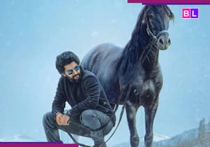 HIT 3 Twitter review: Nani's powerful act wins hearts; netizens react 'In the first half...'