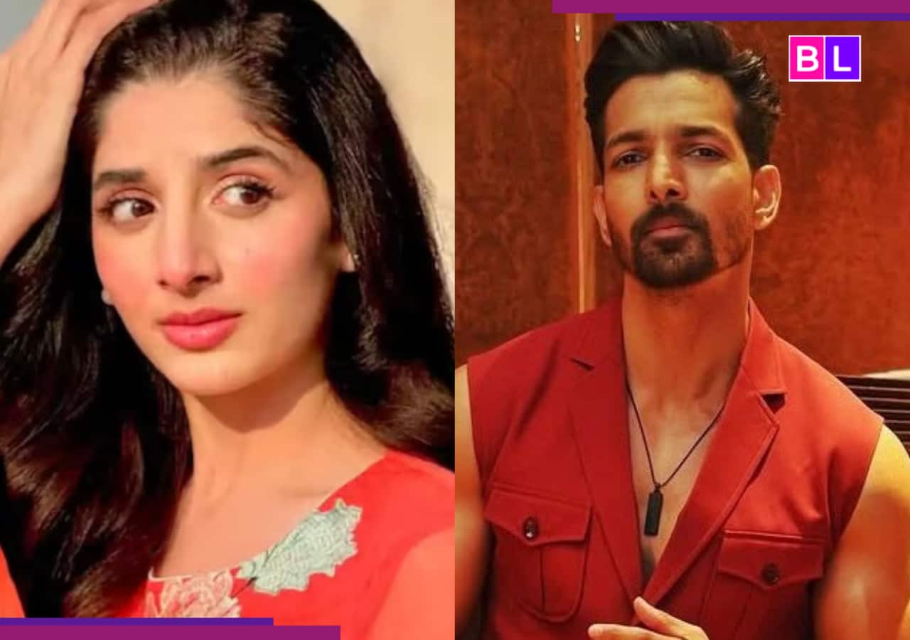 'इतनी नफरत...' पाकिस्तानी एक्ट्रेस मावरा होकेन को हर्षवर्धन राणे ने दिया मुंहतोड़ जवाब, बोले- 'मैंने उसका...'