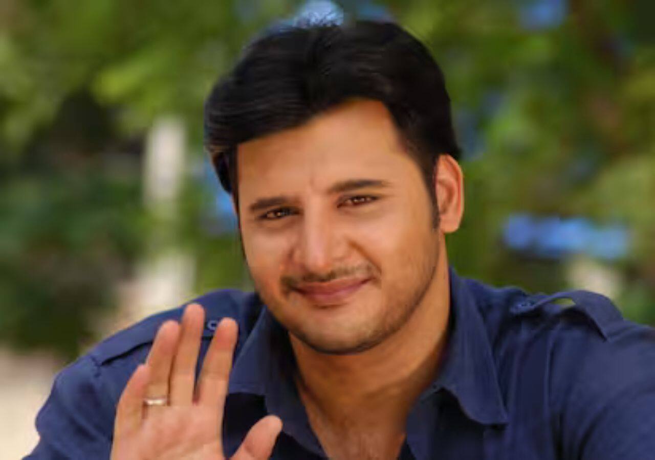 Mirza Abbas's career