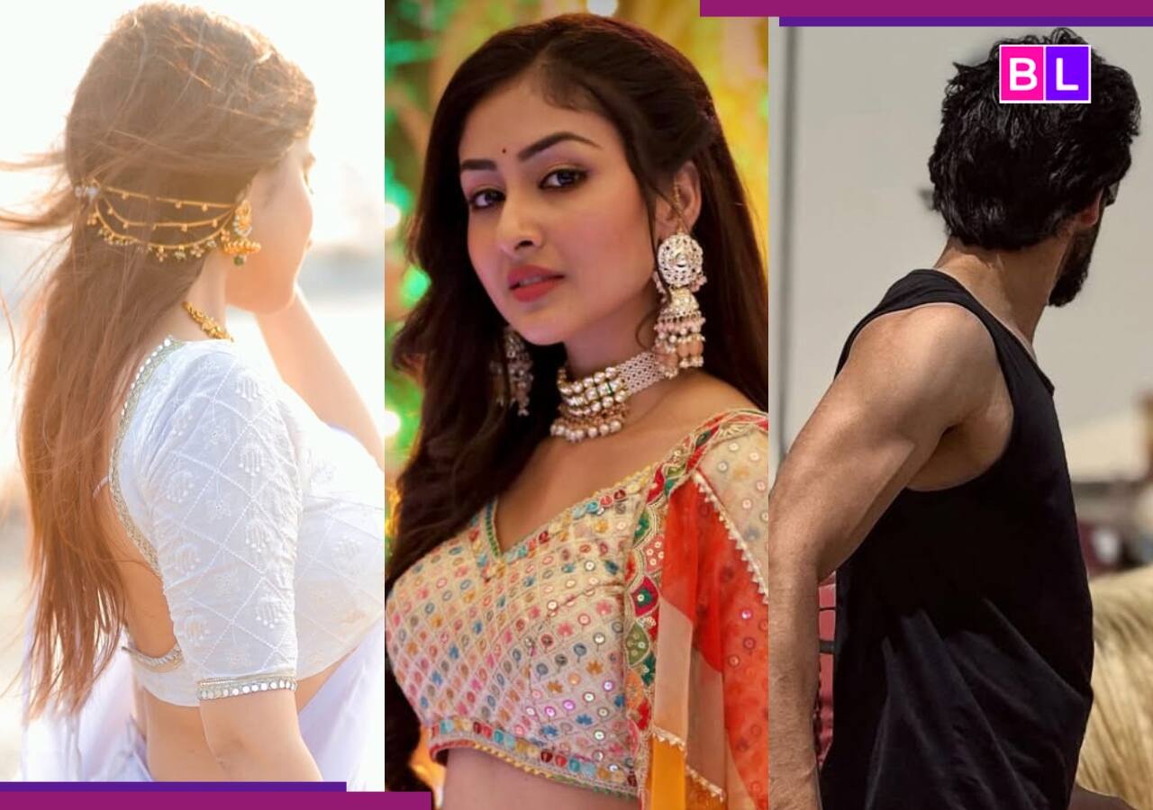 THESE Yeh Rishta Kya Kehlata Hai and Anupamaa stars to enter Parineetii with Aanchal Sahu? [Exclusive]