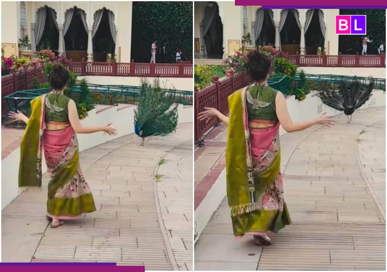 पाकिस्तानी गाने पर मोरनी की तरह थिरकने के बाद कंगना की लग गई क्लास, सोशल मीडिया पर हुई ट्रोल