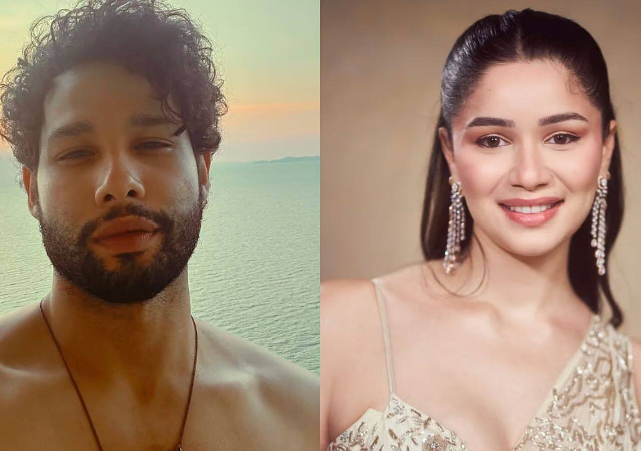 Siddhant’s professional life,