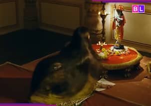 THIS actress once hired 50 bodyguards for..., wore 80 kg lehenga for film that earned box office collection of Rs...; the film was...