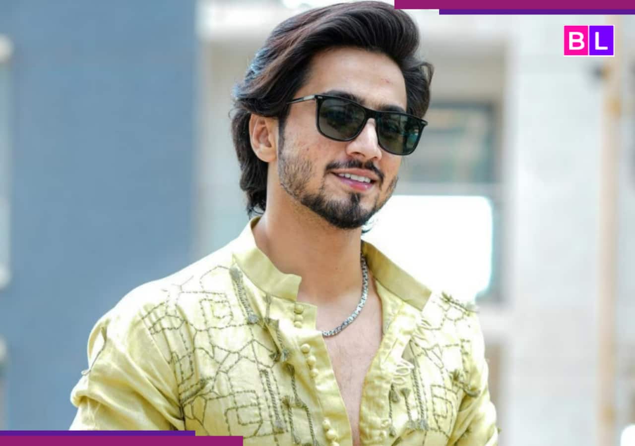 Bigg Boss 19: Faisal Shaikh aka Faisu to participate in Salman Khan's reality show? Netizens want Jannat Zubair to join as wild card