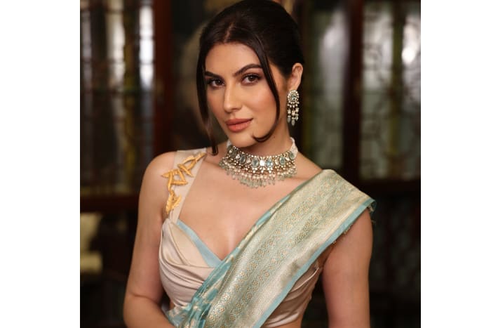 एलनाज नौरोजी की फैन फॉलोइंग