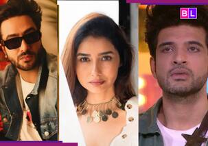 Air India plane crash: Aly Goni, Karan Kundrra, Param Singh REACT; Ahmedabad born Leena Jumani says...