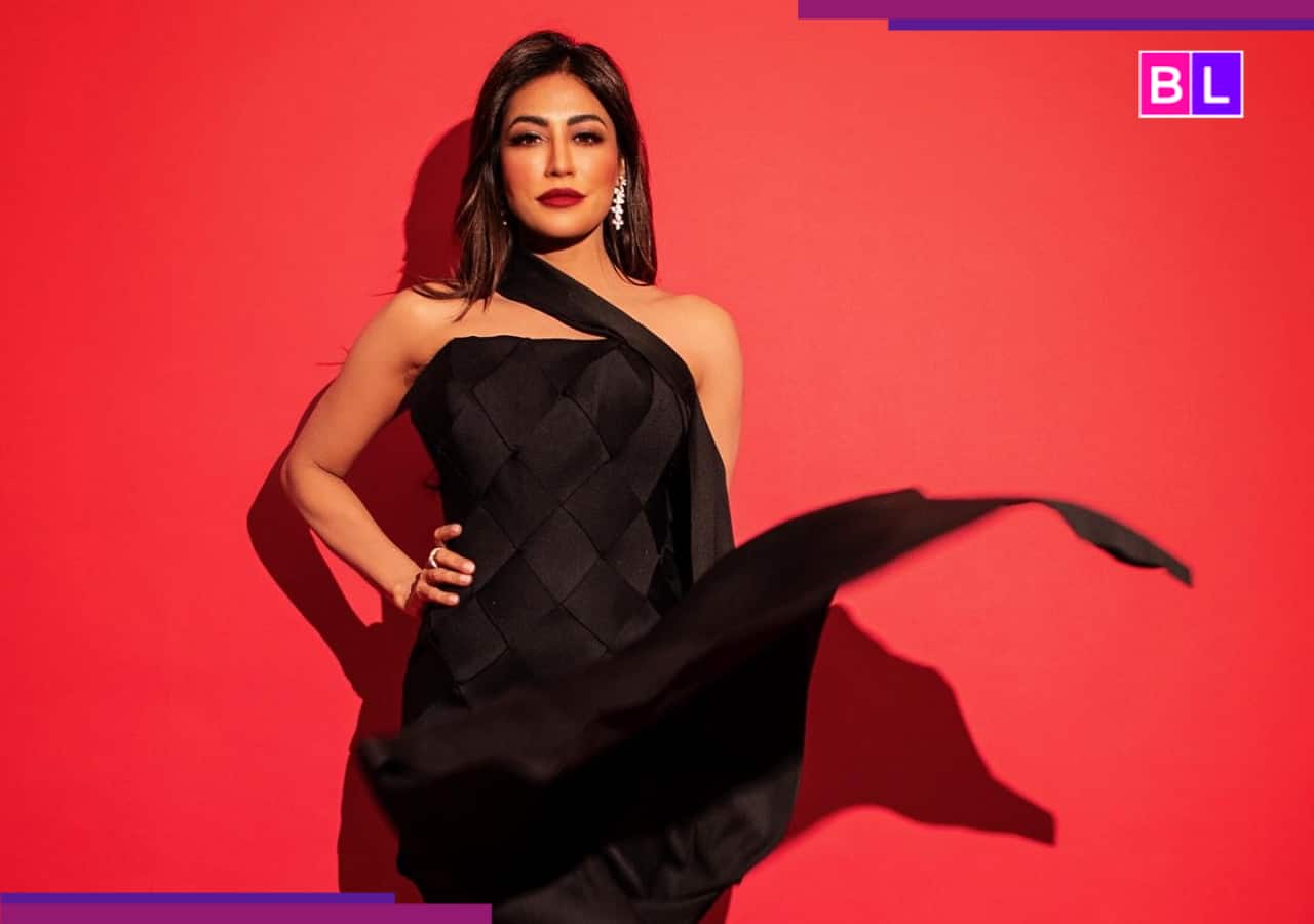 Chitrangda Singh opens up on limited work, says “only seductress roles offered”