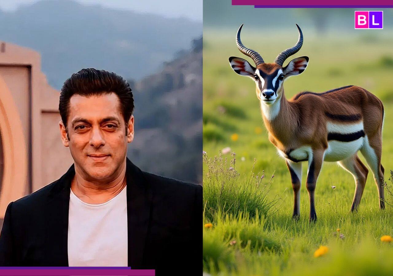 Salman Khan Blackbuck Poaching Case Hearing Set for Sept. 22, 2025