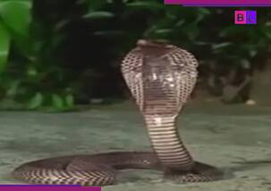 महज डेढ़ करोड़ में बनीं इस फिल्म ने बॉक्स ऑफिस पर फोड़े कई रिकाॅर्ड, कहानी देख हिल गए थे दर्शक, गाने तो आज भी हैं सुपरहिट