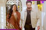 Sher Drama Episode 17: When and Where to watch Danish Taimur and Sarah Khan’s Pakistani serial