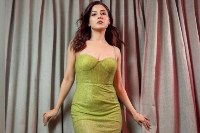 Kiara Advani, Tripti Dimri, Tamannaah Bhatia, and other actresses who slay  the fashion game with...