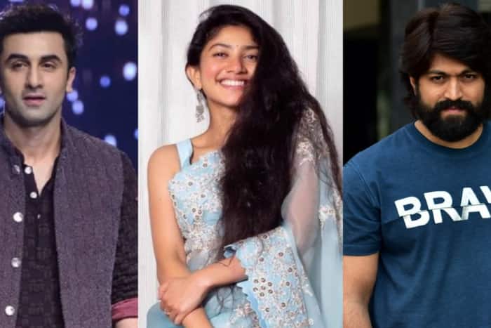 What is Ramayana cast like?