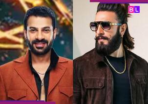 Don 3 में विलेन बनेंगे Bigg Boss 18 के विनर Karan Veer Mehra?  जानें क्या है पूरा सच