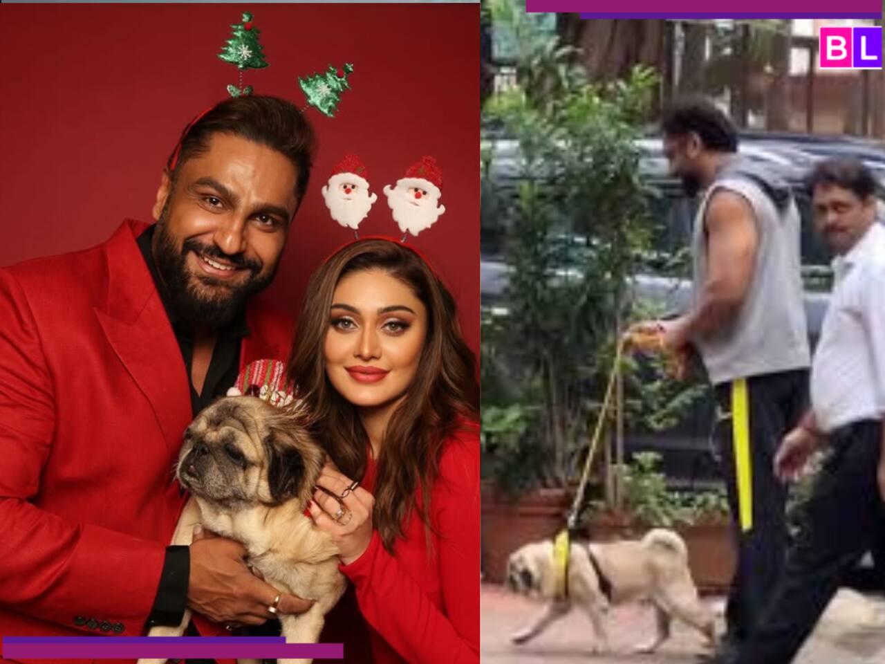 Shefali Jariwala Death: Why did Parag Tyagi take his pet dog out for a walk right after wife's sudden demise?