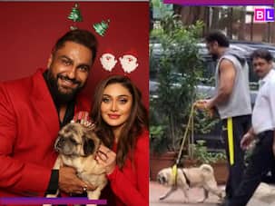 Shefali Jariwala Death: Why did Parag Tyagi take his pet dog out for a walk right after wife's sudden demise?