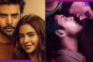 Saiyaara: 'सैयारा' जैसे ही हदों को पार कर देने वाली मोहब्बत देखनी हैं? तो OTT पर देखें ये 5 सीरीज