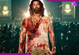 'मेरी फिल्मों की नकल...' रणबीर कपूर की Animal है इस ब्लॉकबस्टर फिल्म की कॉपी? डायरेक्टर ने 2 साल बाद तोड़ी चुप्पी