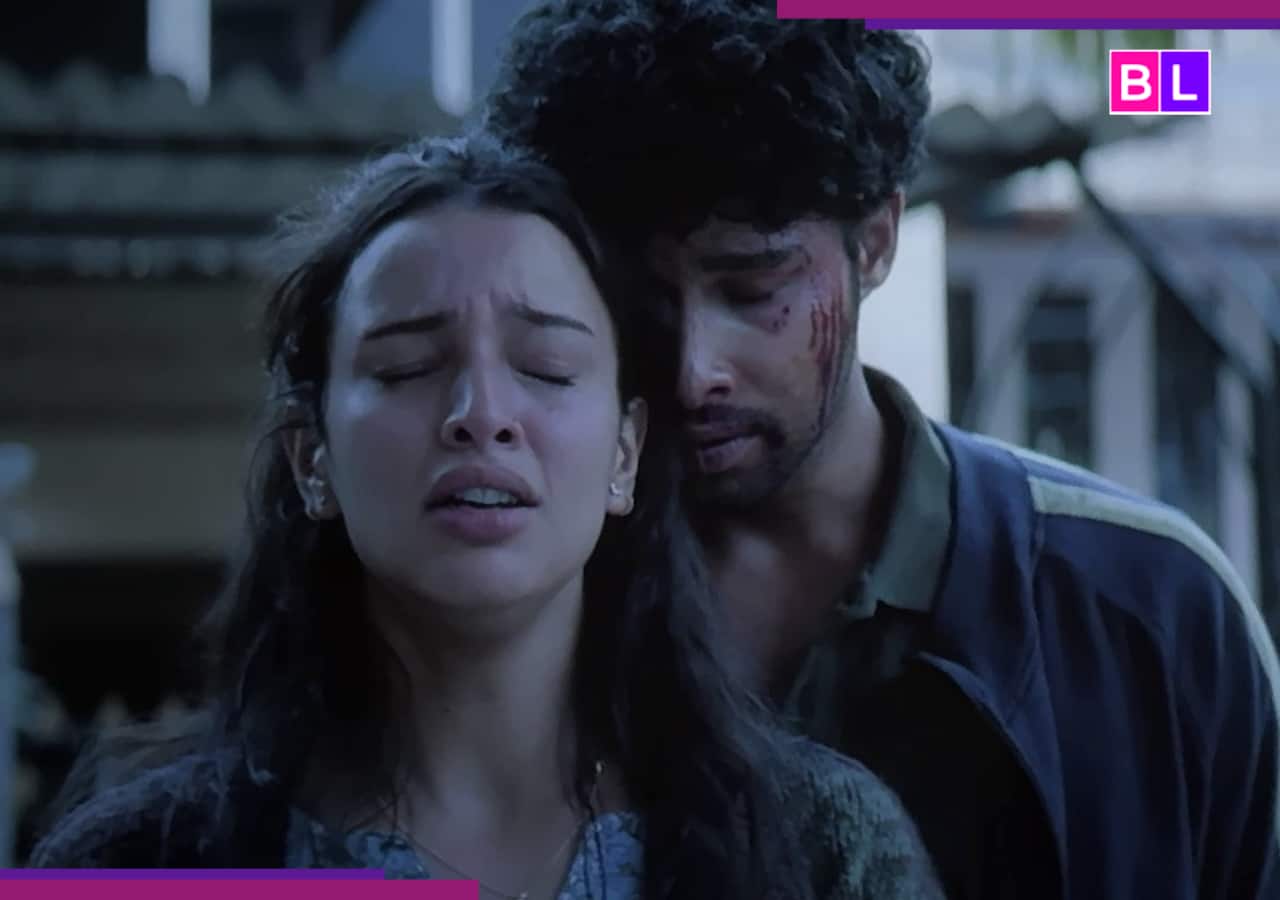 Dhadak 2 box office collection day 2: Triptii Dimri, Siddhant Chaturvedi's film shows no growth despite...; EARNS Rs...
