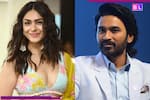 Dhanush and Mrunal Thakur's dating rumors goes VIRAL after they are spotted...