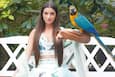 bollywoodlife.com photo