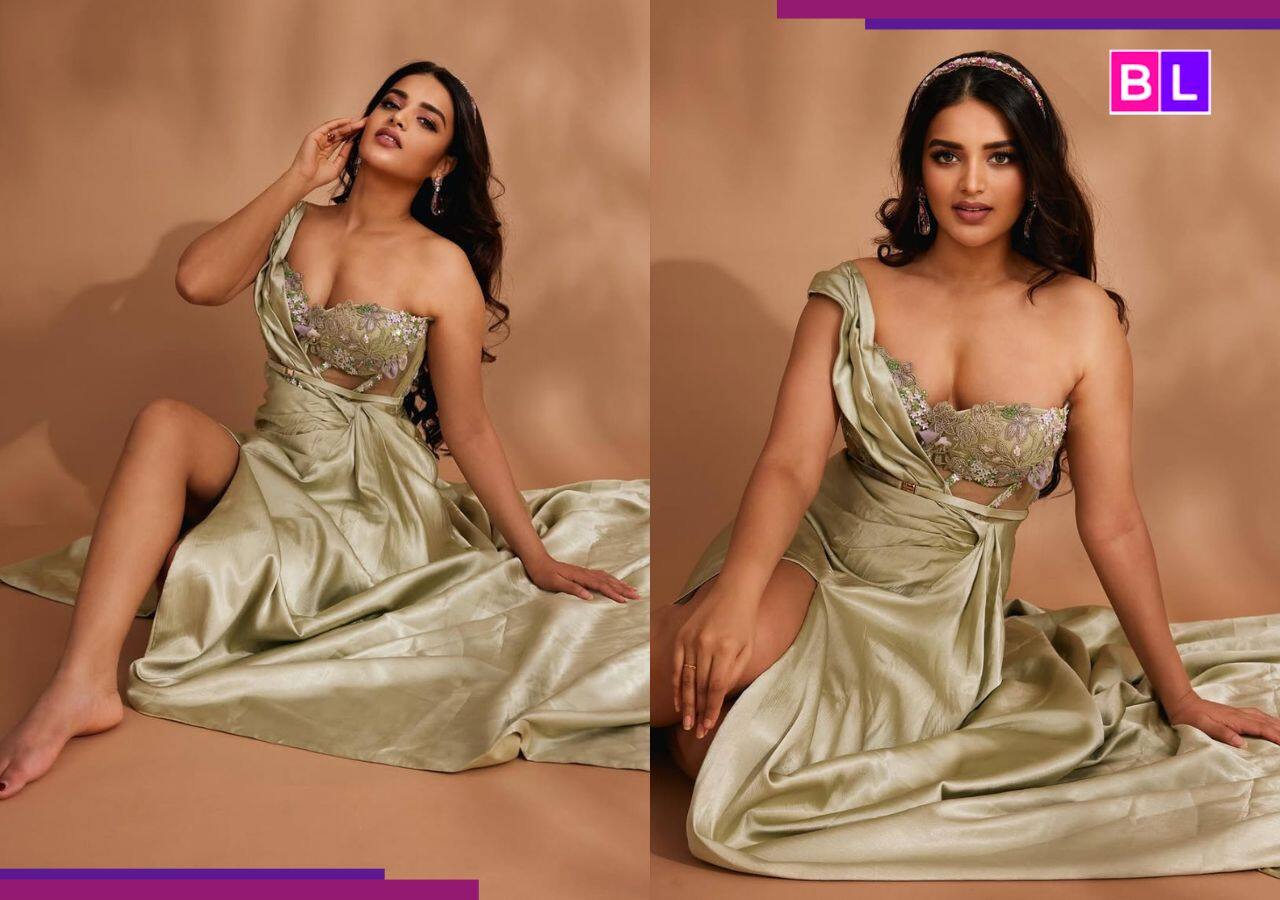Nidhhi Agerwal's Journey: From Debut to Stardom