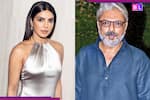 Is Priyanka Chopra not part of Sanjay Leela Bhansali's upcoming film Love and War? Here’s what we know