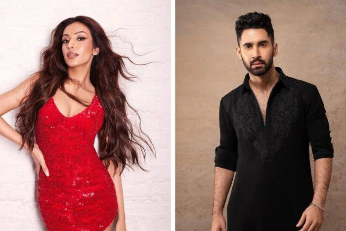 Who are Arya Khan leading stars in The Ba***ds?