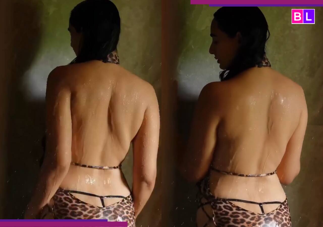 Actress Megha Shukla's Bathroom Video Sparks Controversy