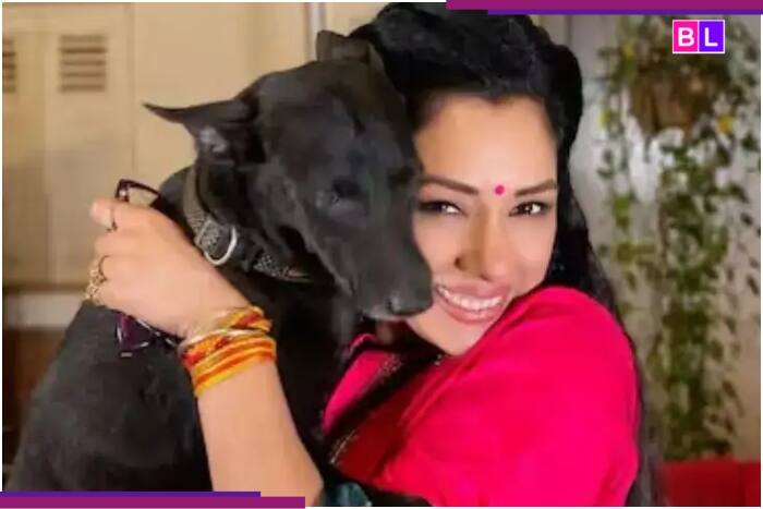 Rupali Ganguly Faces Backlash After Stray Dog Comments