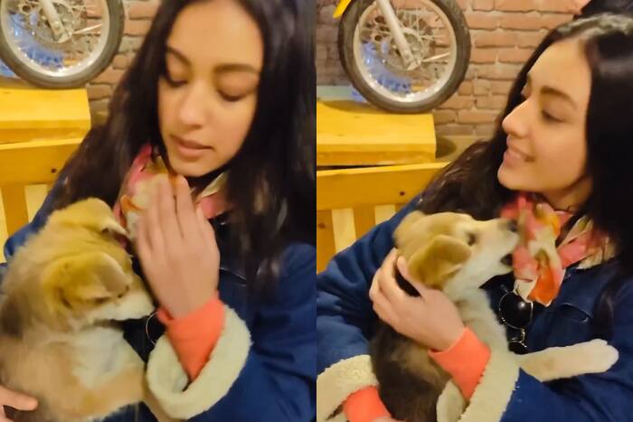 Sahher Bambaa is an animal lover