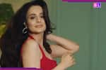 अब तक सिंगल क्यों थीं Ameesha Patel? 50 की उम्र में शादी करने को हैं तैयार, कहा- 'आधी उम्र के मर्द चाहते हैं कि...'