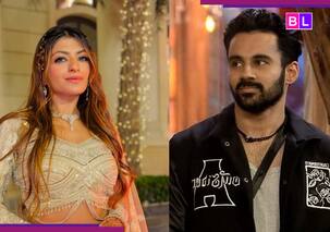 Bigg Boss 19: Abhishek Bajaj's ex-wife Akanksha Jindal accuses him of infidelity, claims he cheated on her with...