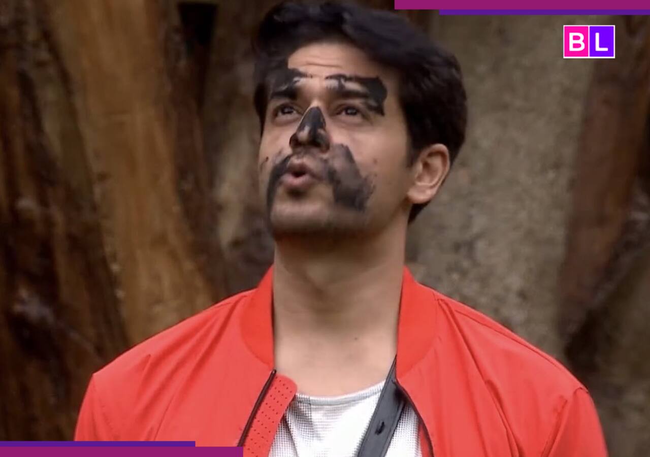 Bigg Boss 19: Sandiip Sikcand and Rajiv Adatia come out in support of Gaurav Khanna after he gets schooled by Salman Khan, 'Don't have to yell...'