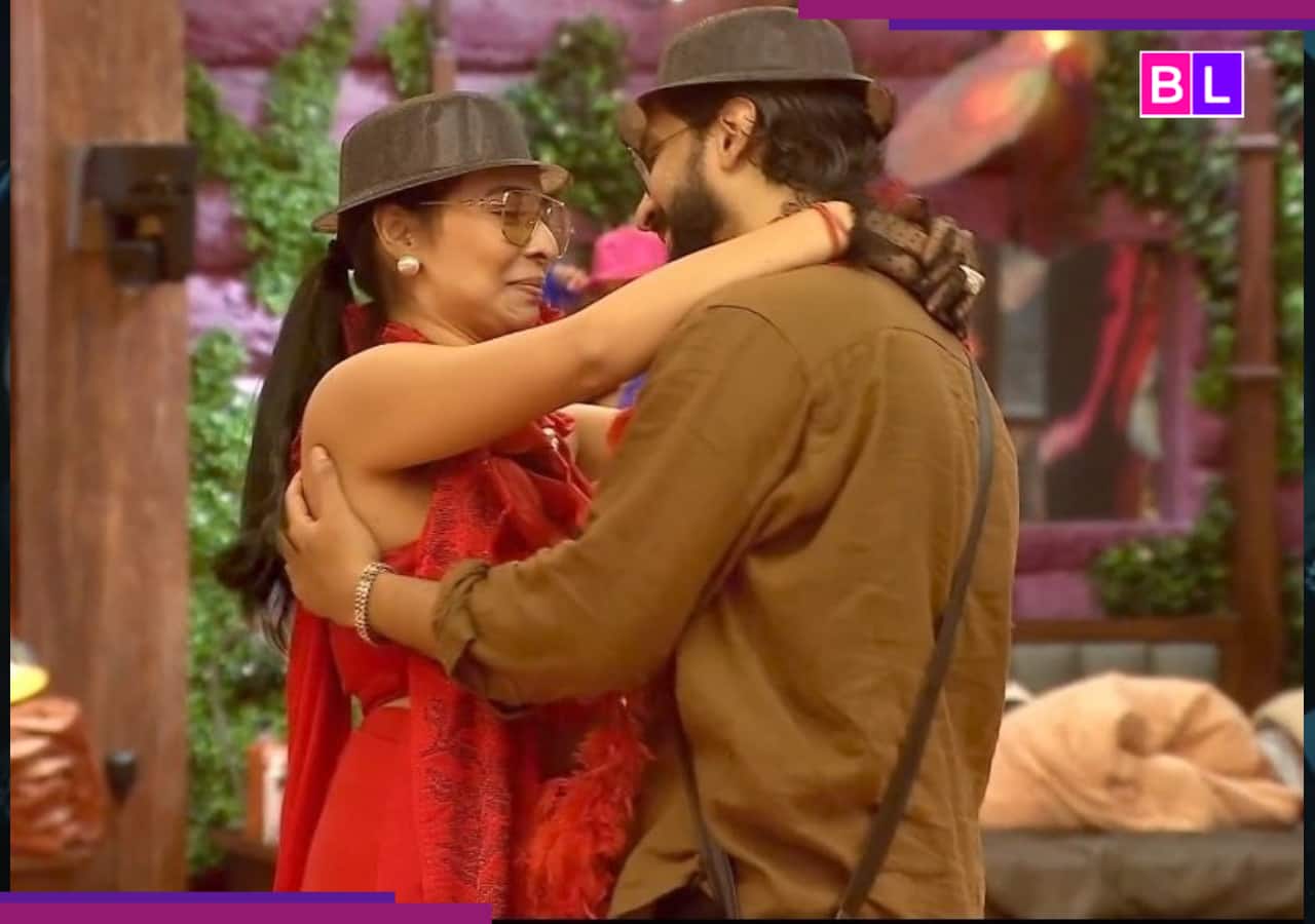 Bigg Boss 19: Fans gush over Amaal Mallik and Tanya Mittal's 'undeniable chemistry' during dance party, say 'This looks straight out of...'