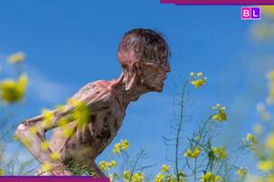 28 Years Later OTT Release Date: When and where to watch Jodie Comer-Aaron Taylor-Johnson's film