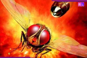 एक मक्खी ने फिल्म के विलेन का जीना कर दिया हराम..., फिल्म को मिले दो नेशनल अवॉर्ड्स, इस ओटीटी पर देखें