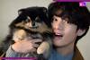 Fans REACT as V’s concert moment trends for all the wrong reasons