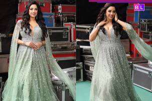 Anupamaa star Rupali Ganguly radiates elegance in...; shares heartwarming photoshoot with...