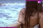 THIS actress was deeply in love with Feroz Khan, but Shammi Kapoor’s heartbreak left her…, she is...