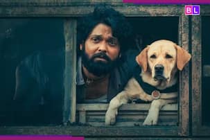 2 घंटा 44 मिनट की इस फिल्म को देखकर आंखों में आ जाएंगे आंसू, IMDb से मिली शानदार रेटिंग, ओटीटी प्लेटफॉर्म पर है मौजूद